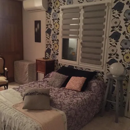 Duplex Independant A 10 Mn De Toulouse Centre Ville Kwatera prywatna