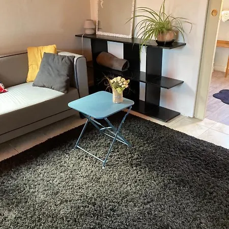 Duplex Independant A 10 Mn De Toulouse Centre Ville *